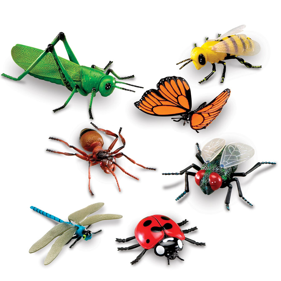 Lielizmēra kukaiņi - Jumbo Insects | kods LER0789 | bērniem 3-10g. 