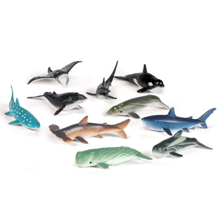 .. iepazīsti, saskaiti daudzos Okeāna Dzīvniekus - figūriņas - Ocean Counters (Set Of 50) | kods LER0799 | bērniem 3-7g. 